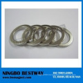 Large Ring Neodymium Magnets Speaker